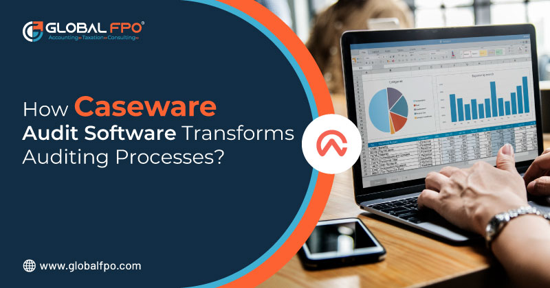 How Caseware Audit Software Transforms Auditing Processes